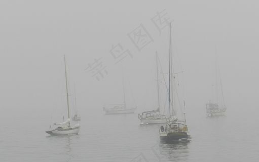 帆船，小船，雾，雾，水，帆船