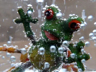 青蛙，水，绿色