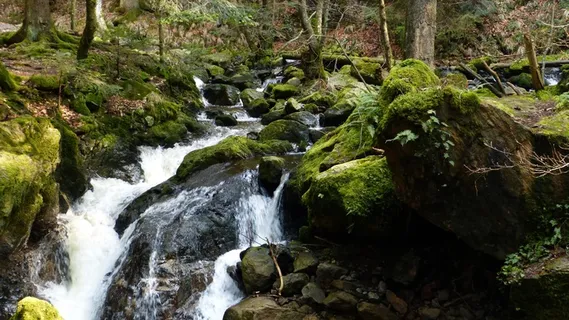 黑森林，森林，峡谷，拉韦纳峡谷，自然