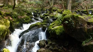 黑森林，森林，峡谷，拉韦纳峡谷，自然