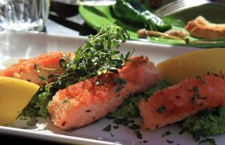 鱼，三文鱼，吃，食品，美食，封面，厨师