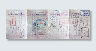 文字图片,图画,卡通动漫人物,自然/人文景观,股金证,护照