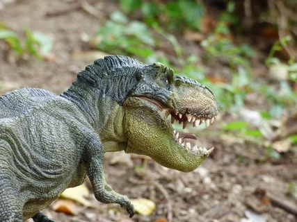 霸王龙，恐龙，史前史，玩具，游戏