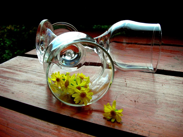 酒杯，洋甘菊，黄色的花，木桌