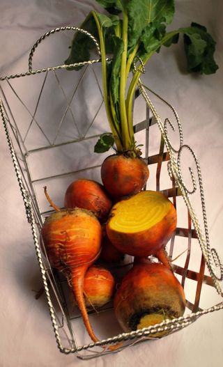 甜菜，有机，农夫市场，黄色，花园，食品