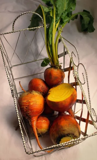 甜菜，有机，农夫市场，黄色，花园，食品