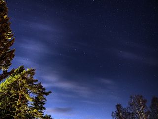 天空，星星，夜，空间，星座，森林