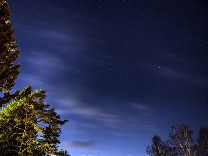 天空,星星,夜,空间,星座,森林 天空,星星,夜,空间,星座,森林