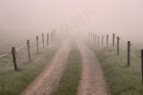 离，雾，黎明，无目的，神秘，神秘
