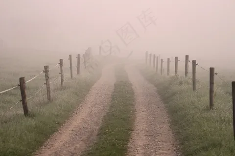 离，雾，黎明，无目的，神秘，神秘