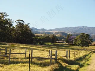 夏威夷，毛伊岛，自然，景观