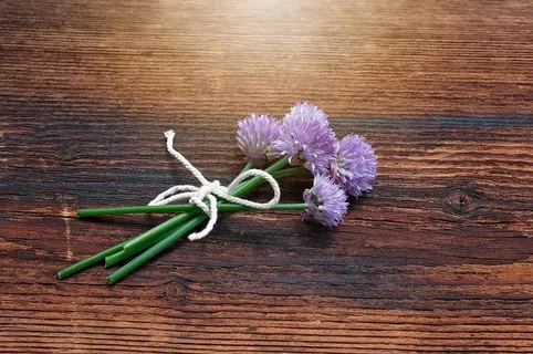 细香葱,开花,绽放,联邦* 细香葱,开花,绽放,联邦*