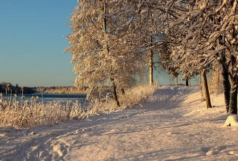 芬兰,景观,风景名胜,冬季,雪,冰,树木 芬兰,景观,风景名胜,冬季,雪,冰,树木