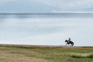 骑马，湖，水，人，家伙，动物，草