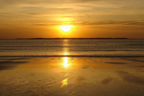 太阳，海，海滩，日落，金，黄色，云