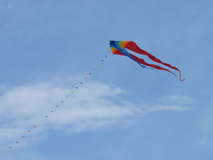 集体跳伞,飞机,天空,风筝,,龙像风筝在天空中的低角度视图