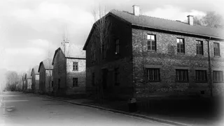 奥斯威辛*，博物馆，*，历史