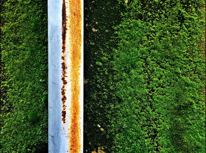 绿色，苔，植被，金属，铁锈，风化