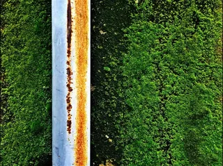 绿色，苔，植被，金属，铁锈，风化