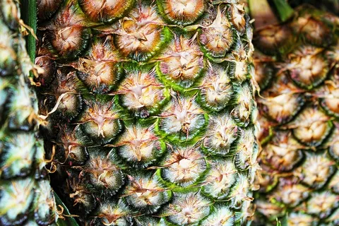 菠萝，纹理，宏，模式，水果，水果