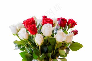 胸花，玫瑰，红色，花