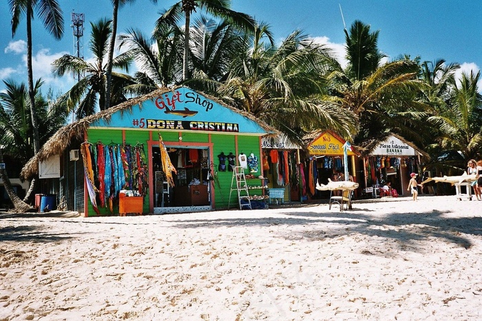 多米尼加*，加勒比海，海，海滩，棕榈树