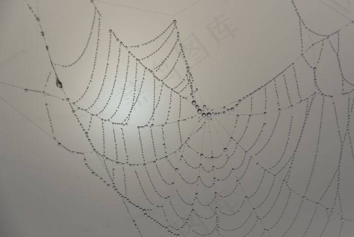 蜘蛛网，串珠，Morgentau
