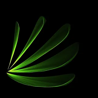 叶子，绿色，明亮，抽象，背景