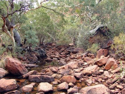 河床，离开，Steinig，困难，澳大利亚，石头