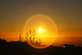 日出，假期，露营，移动房，太阳，草