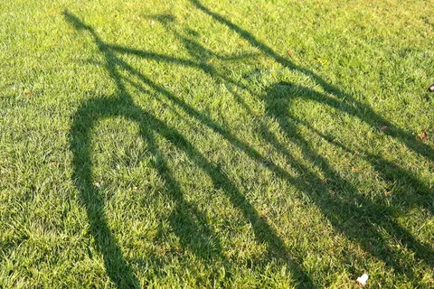 自行车，山地自行车，西班牙裔，车轮，草，草地