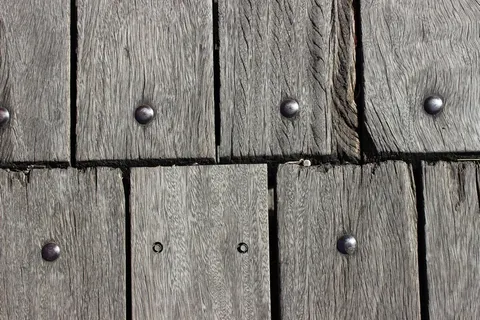 纹理，木材，树