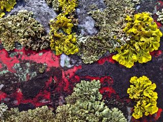 不锈钢，编织，金属桥栏杆