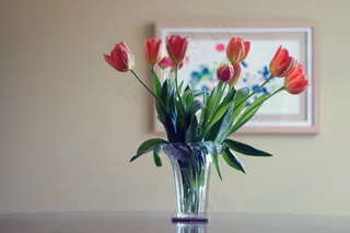 花瓶，鲜花，花束，花瓶，安排，束