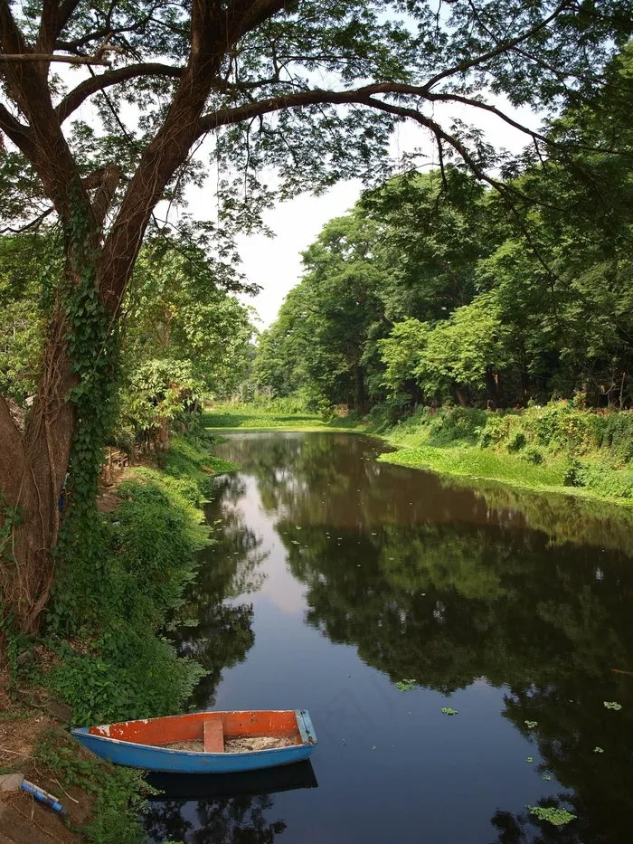 船，水，湖，自然，夏天，河