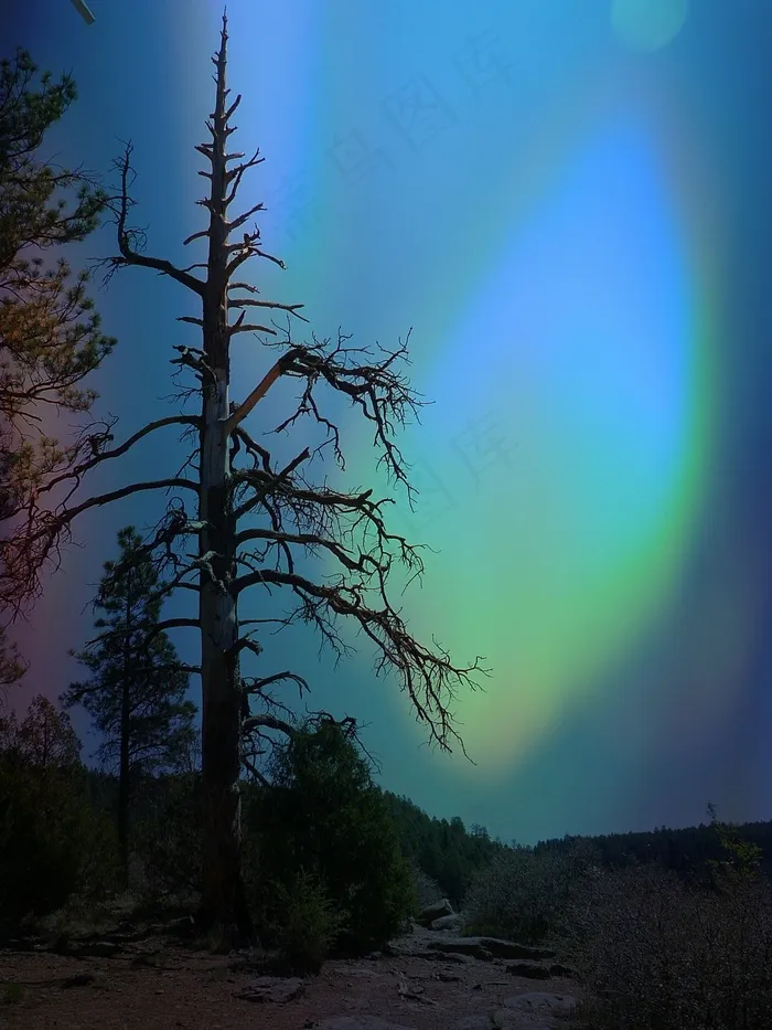 北极，灯光，北极光，轻现象