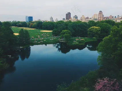 湖,公园,刷新,凉爽,夏天,游泳,沐浴 湖,公园,刷新,凉爽,夏天,游泳,沐浴