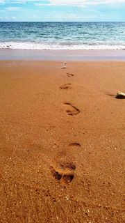 脚步声，沙子，海滩，水，步行，假期，夏天