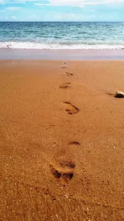 脚步声,沙子,海滩,水,步行,假期,夏天 脚步声,沙子,海滩,水,步行,假期,夏天