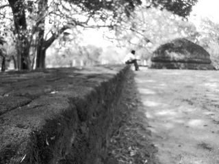 男孩，斯里兰卡，户外，男性，人，公园，人类