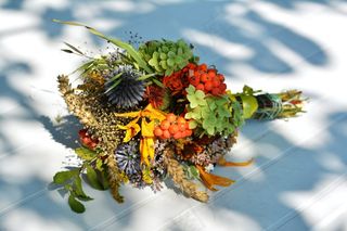 花束，药草，草药，鲜花野花，田野植物