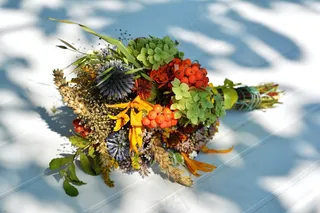 花束，药草，草药，鲜花野花，田野植物