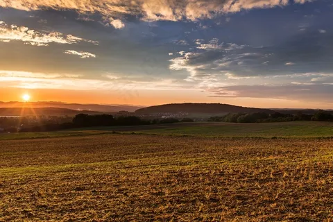 树,风景,天空,都市夜景,草原,田野上的日落
