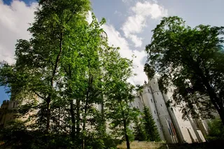 树,美人松,山峦,风景,天空,新天鹅堡