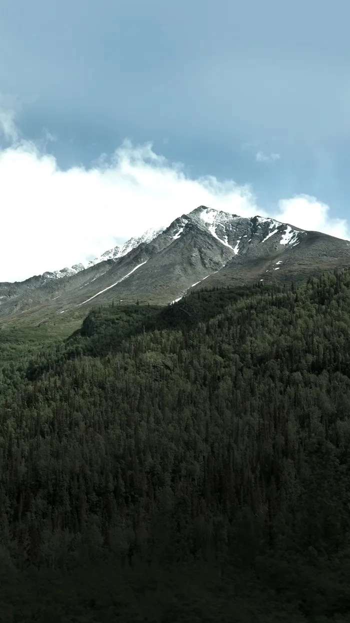 景观，自然，山，高峰，首脑会议，顶部，视图