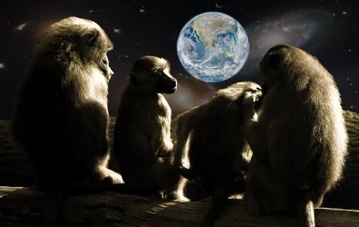 猿星球，猿，狒狒，宇宙，地球