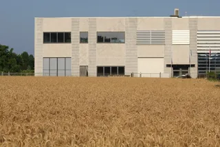 工厂与运动，农业和工业，小麦