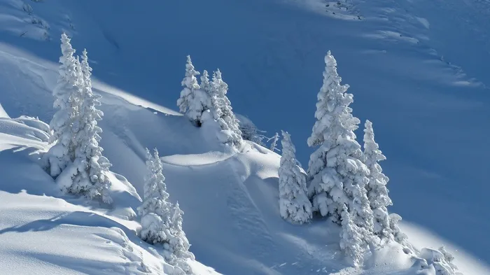 冰雪,山峦,雪松,滑雪图,卡通动漫人物,冬季景观在阳光下