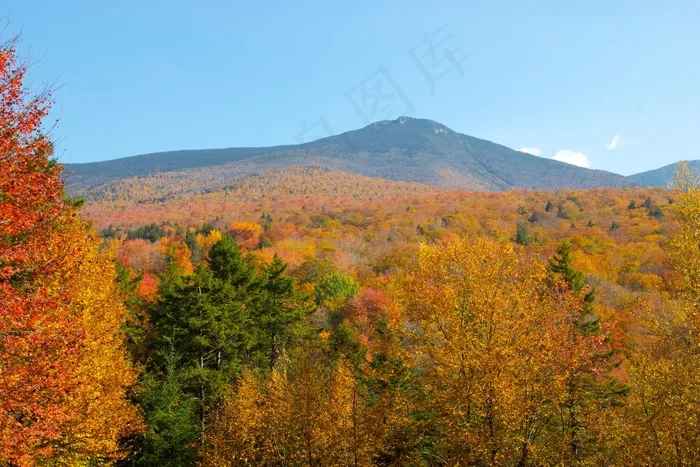 山峦,禾木,四川米亚罗,树,枫树,树木秋天秋季森林