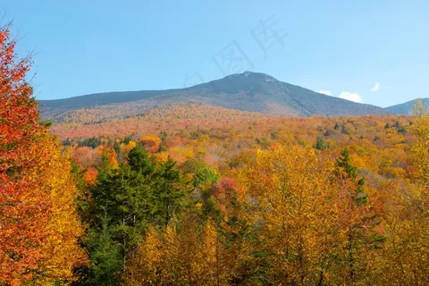 山峦,禾木,四川米亚罗,树,枫树,树木秋天秋季森林 山峦,禾木,四川米亚罗,树,枫树,树木秋天秋季森林